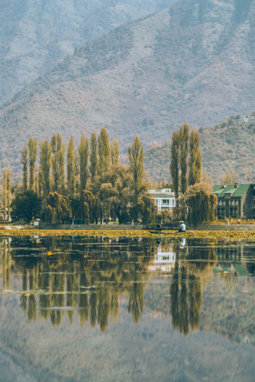 Reflections of Kashmir
