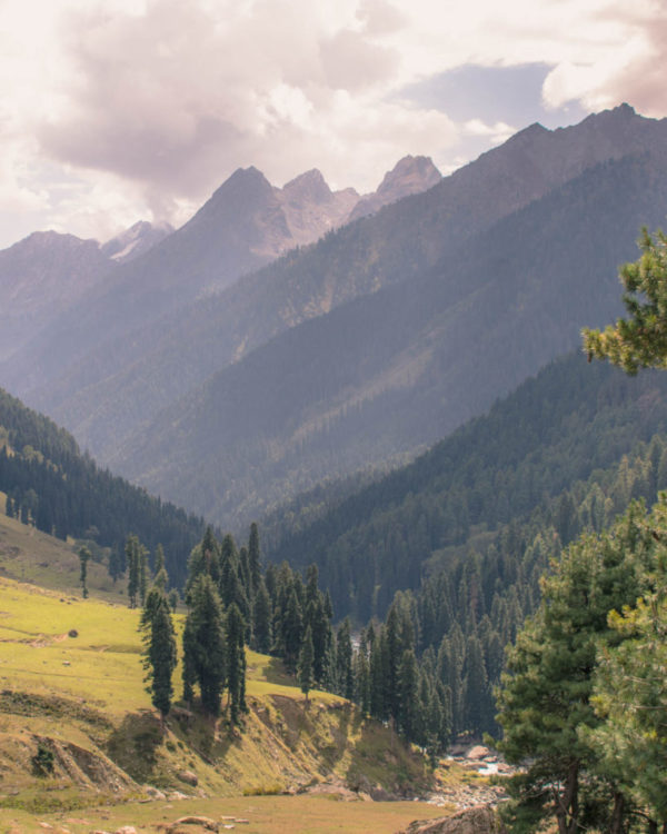 View while coming from Aru Valley to Lidderwat