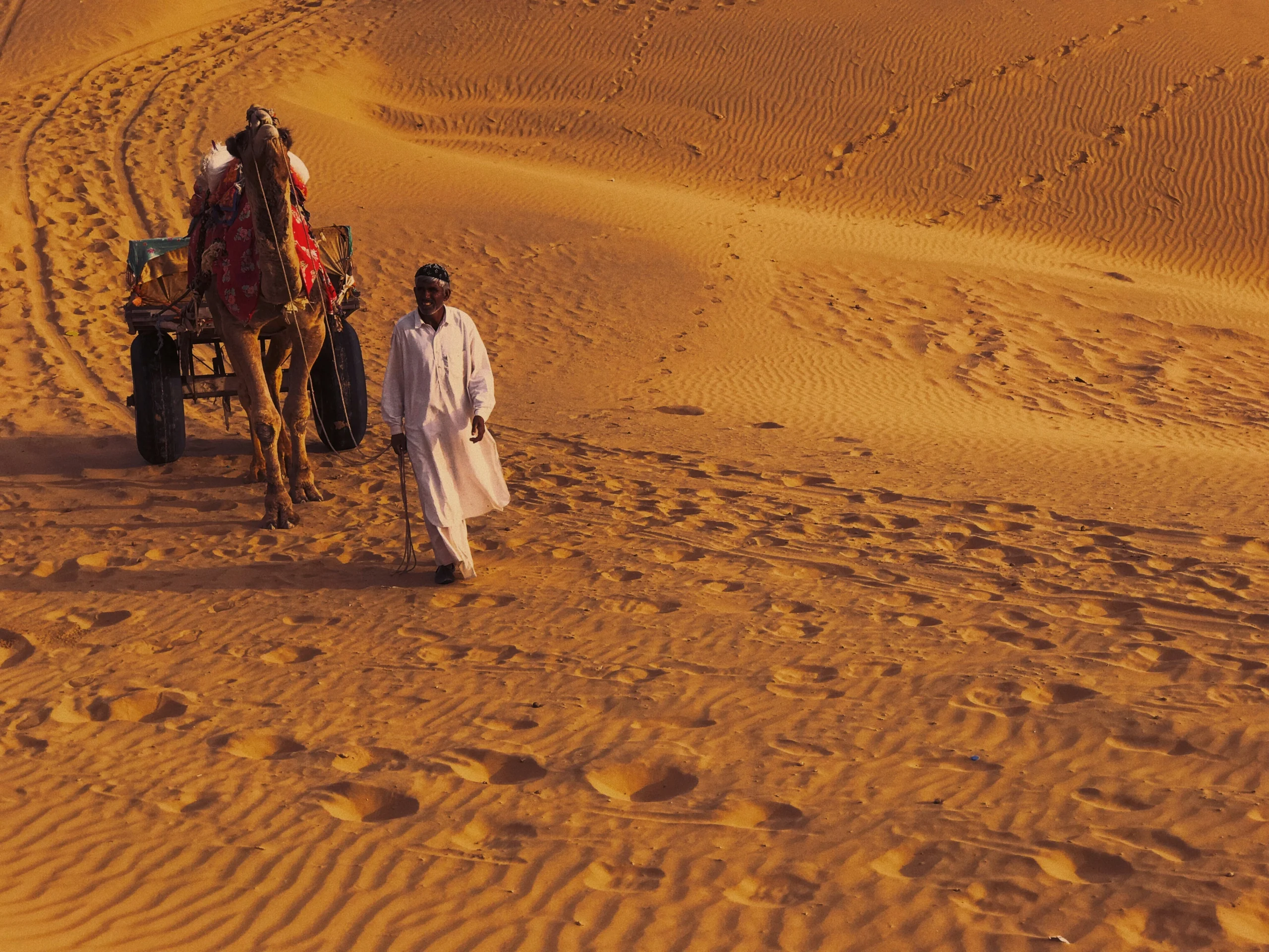 Thar Desert -  Best Desert Safaris