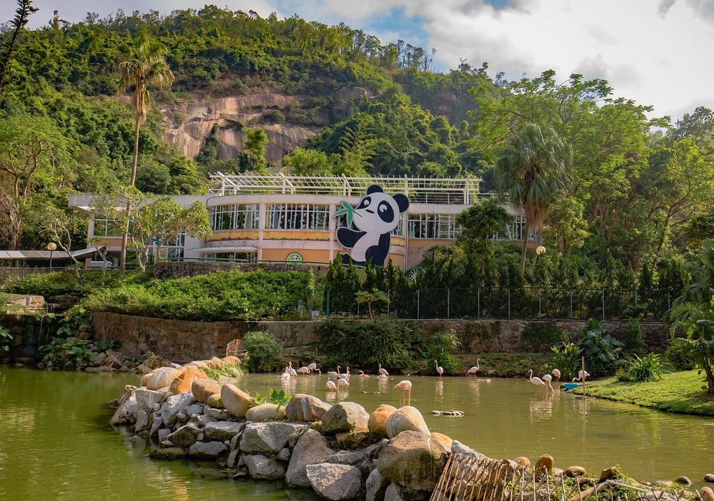 Macau Giant Panda Pavilion - Places to visit in Macao